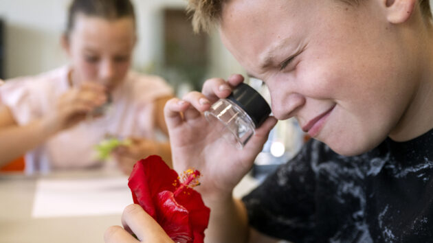 KSE Brugklas 2025 2026 199